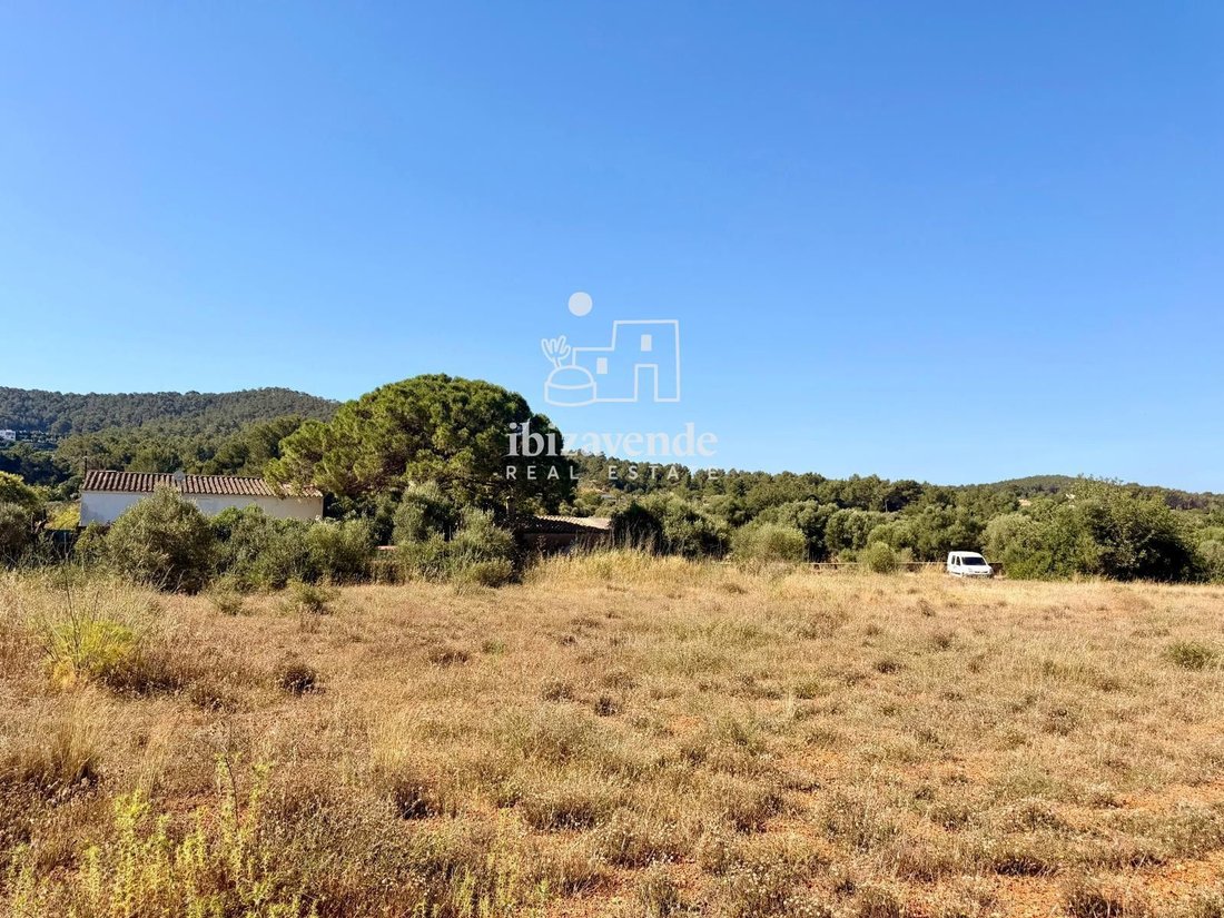 Finca in Santa Gertrudis de Fruitera, Santa Eularia des Riu, Balearic Islands 3 - 18390558