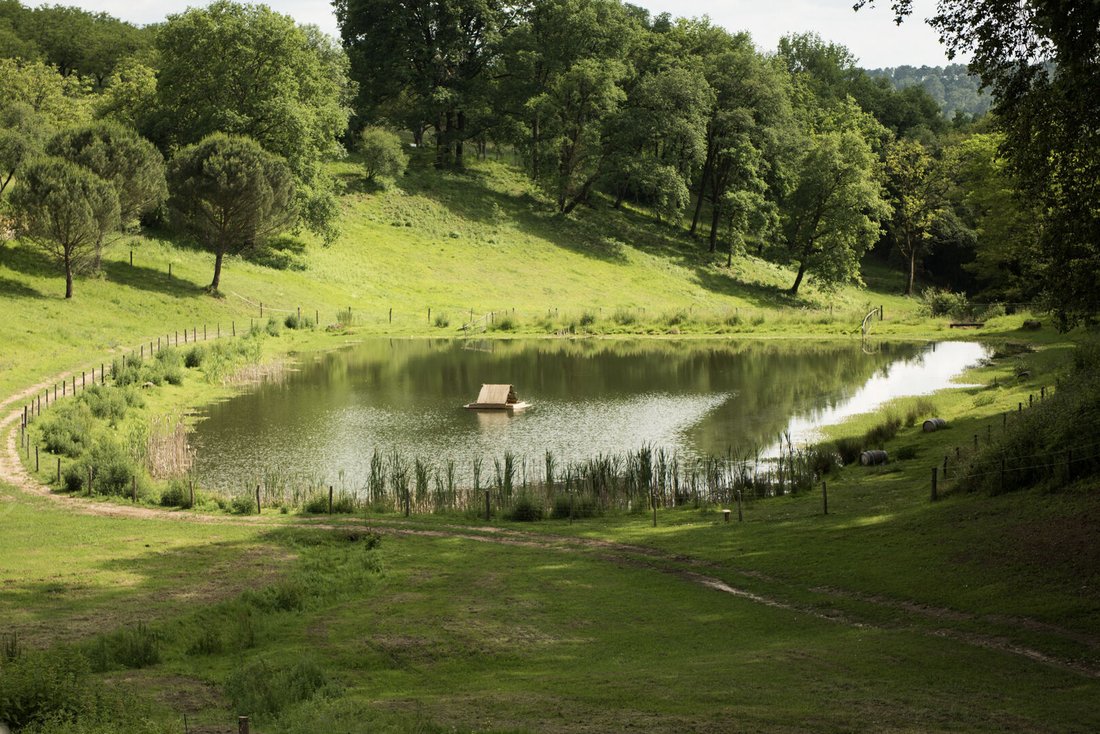 Domaine à Temniac, Sarlat-la-Canéda, France 5 - 18394713