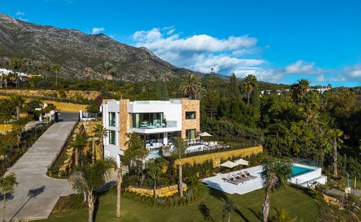 House in Golden Mile, Andalusia, Spain 1
