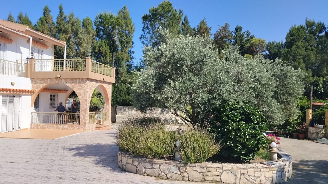 Villa in Anglisides, Larnaca, Cyprus 1 - 18393581