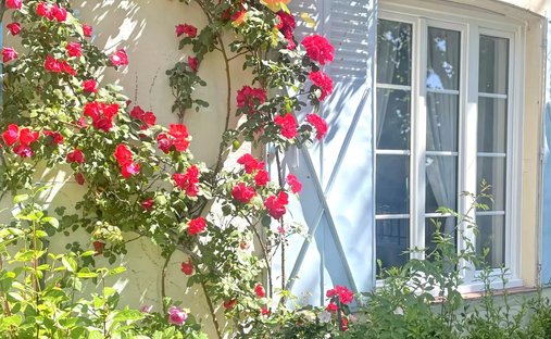 Country House in Bargemon, Provence-Alpes-Côte d'Azur, France 1