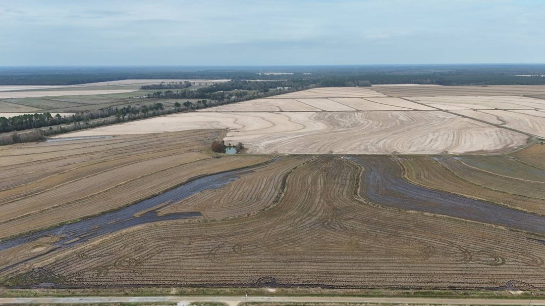 Land in Oberlin, Louisiana, United States 1 - 18390778