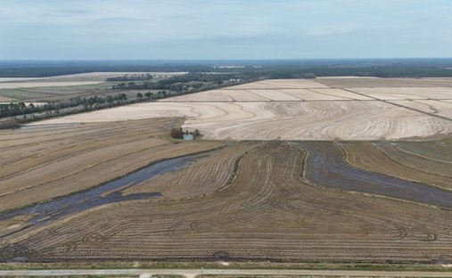Land in Oberlin, Louisiana, United States 1