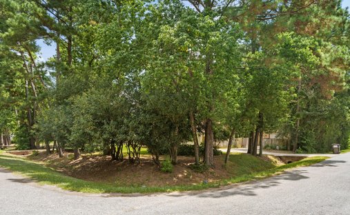 House in Magnolia, Texas, United States 1