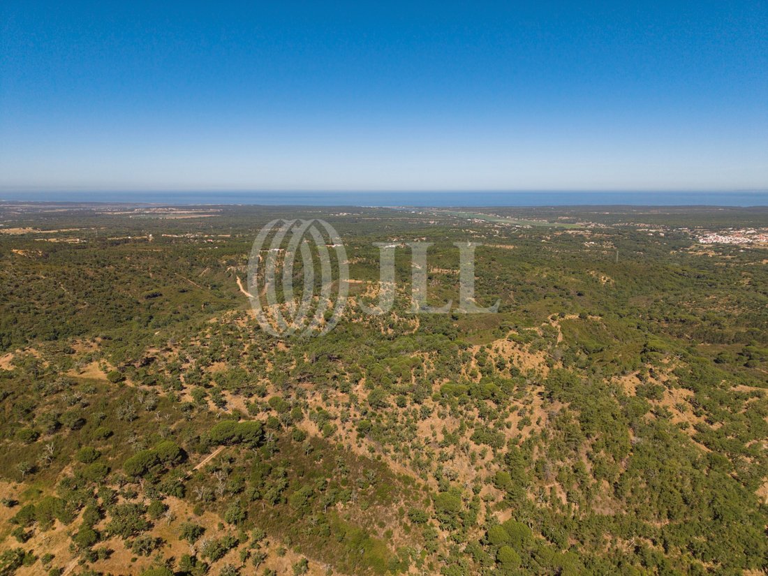 Land in Melides, Setubal, Portugal 2 - 18393121
