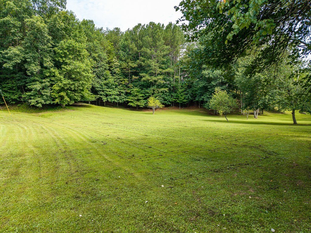 House in Blairsville, Georgia, United States 5 - 18394602