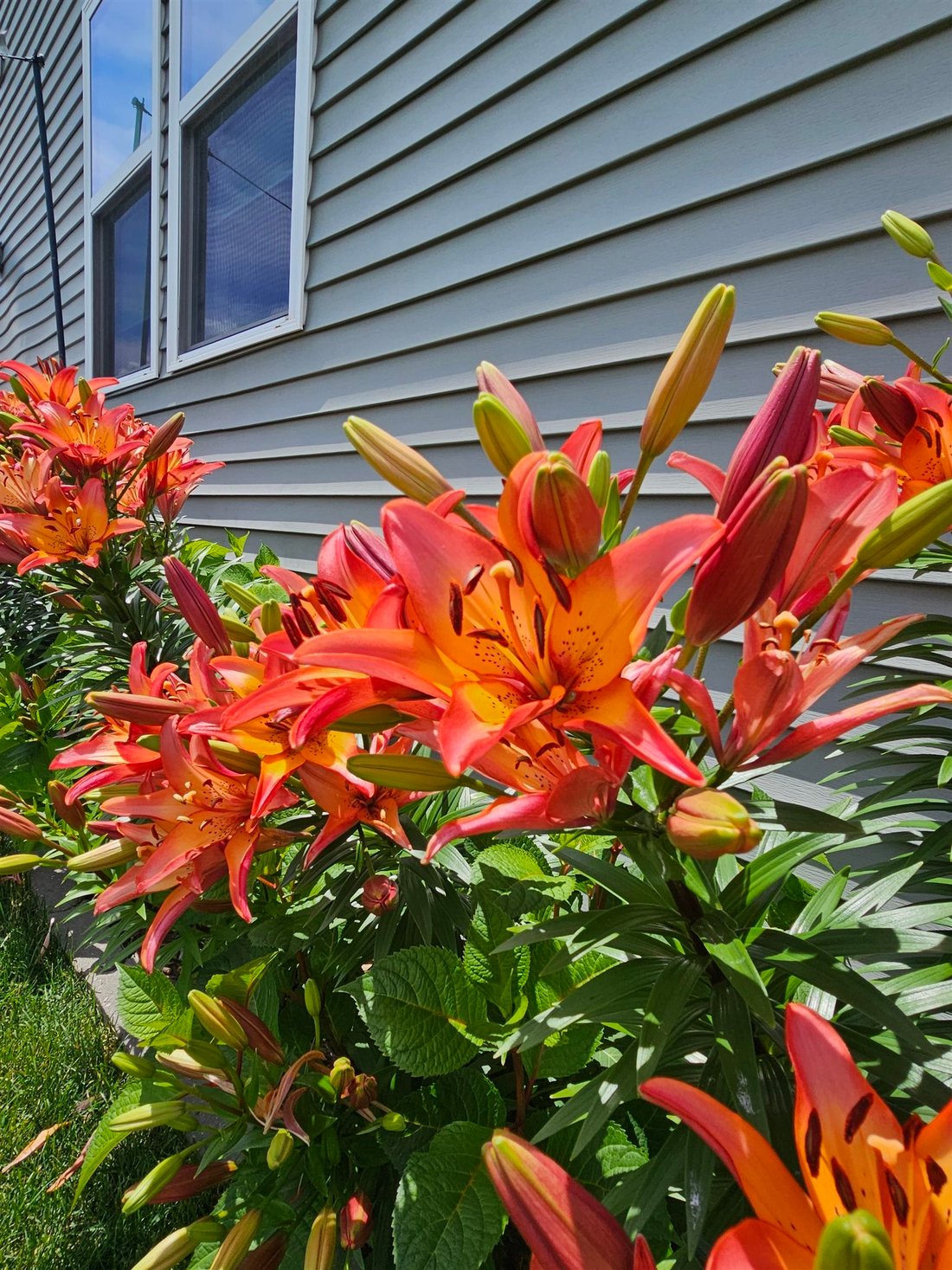 House in Sun Prairie, Wisconsin, United States 5 - 18390590