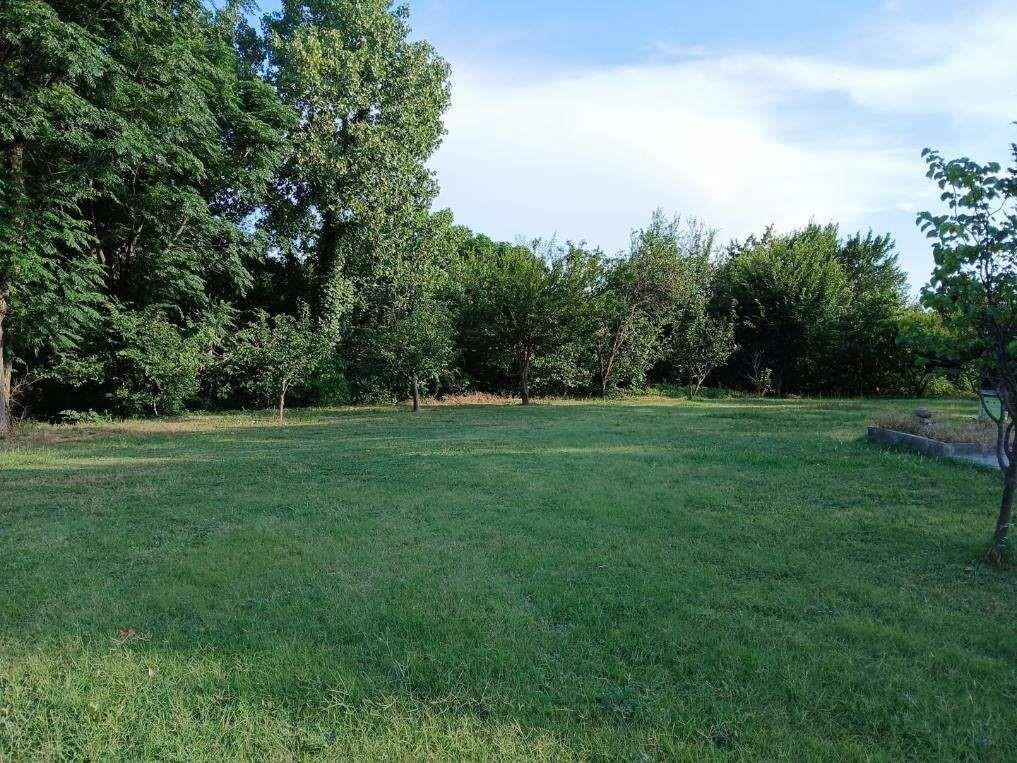 Farm Ranch in Dallas, Texas, United States 3 - 18391427
