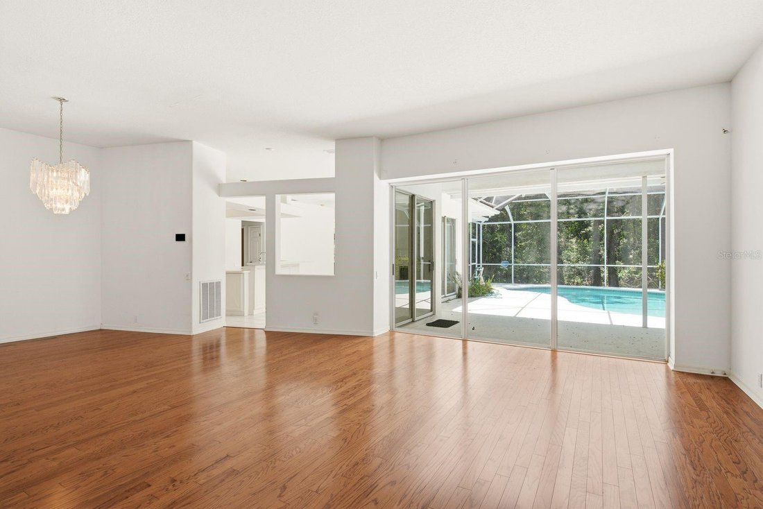 House in Palm Harbor, Florida, United States 3 - 18395670
