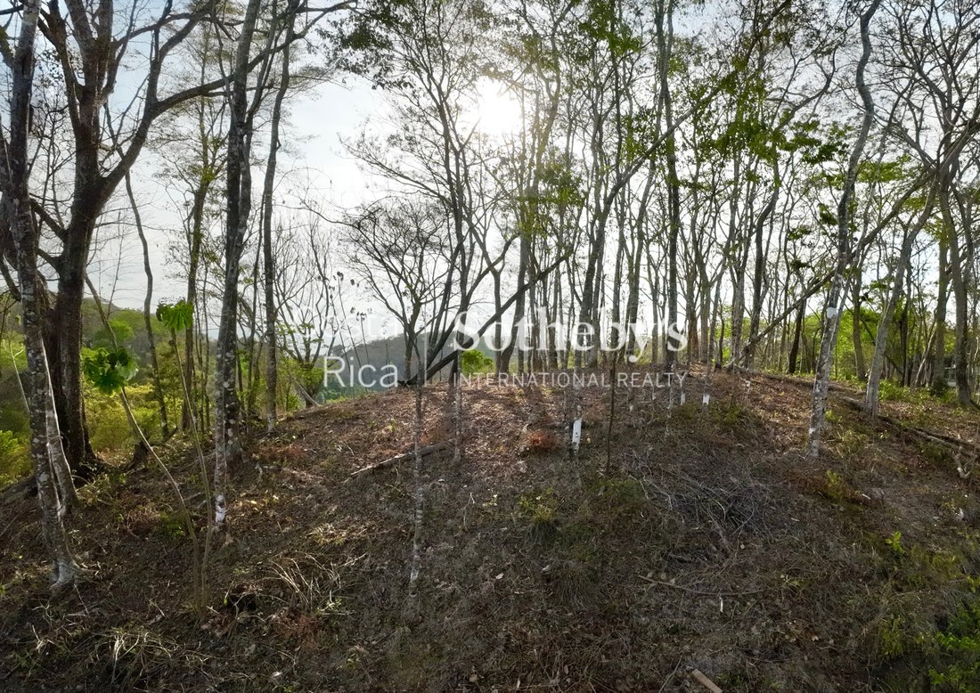 Land in Santiago, Puntarenas Province, Costa Rica 3 - 17802904