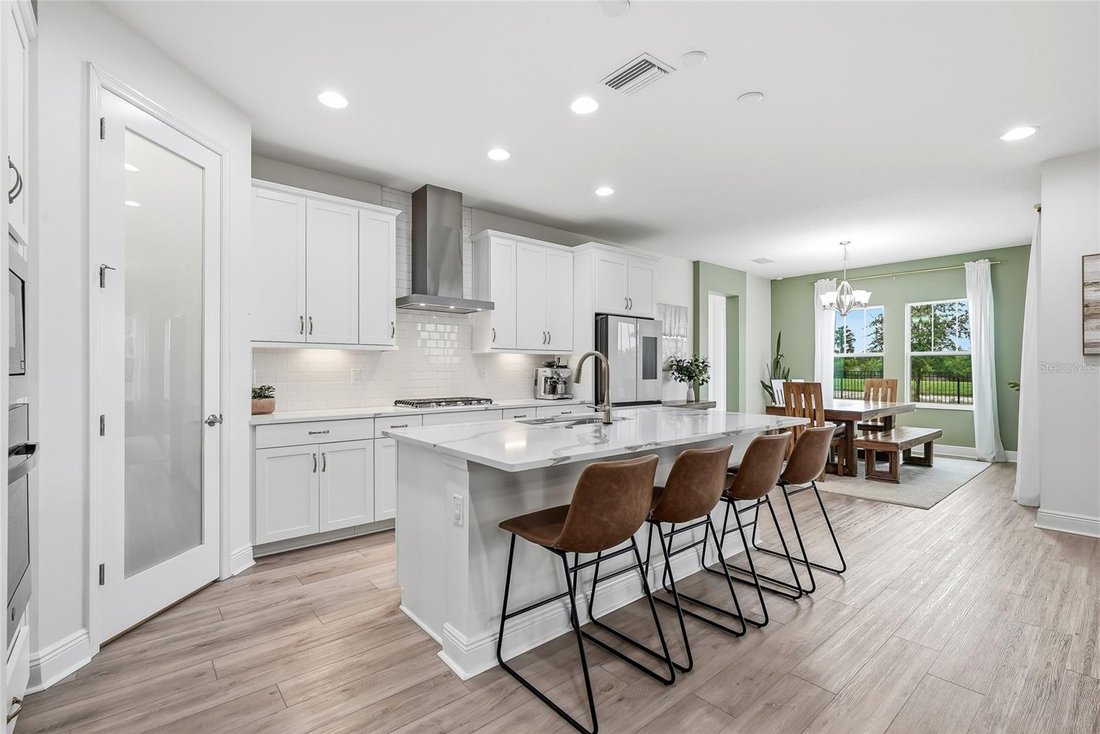House in Land O' Lakes, Florida, United States 3 - 18390936