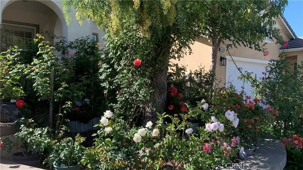 House in Temecula, California, United States 4 - 18392340