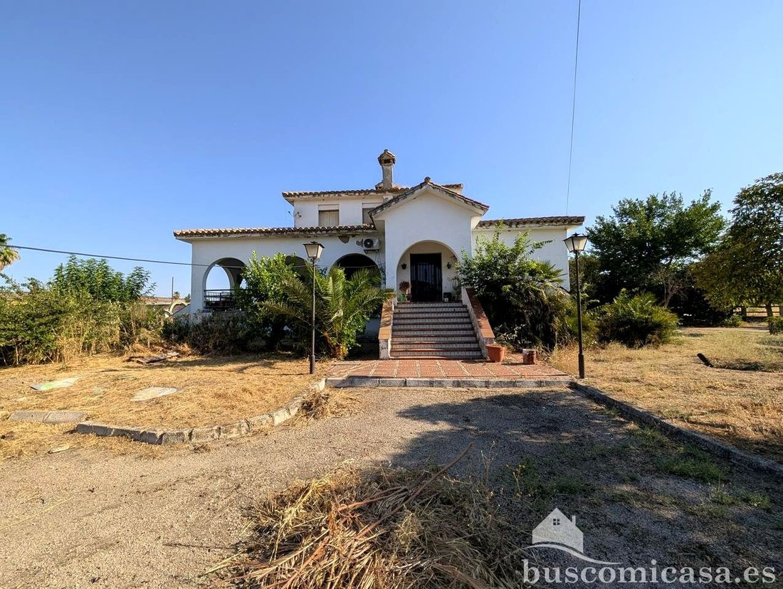 Country House in Linares, Andalusia, Spain 4 - 18392635