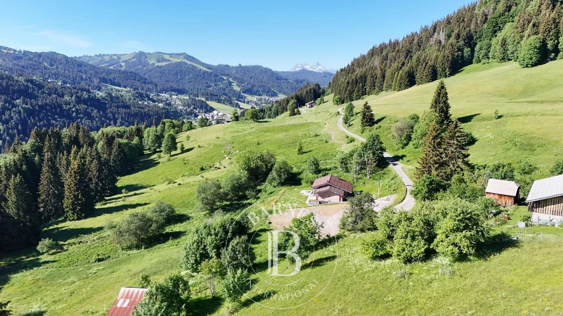 Land in Les Gets, Auvergne-Rhône-Alpes, France 5 - 18392622