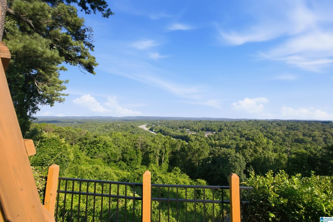 House in Vestavia Hills, Alabama, United States 5 - 18274706