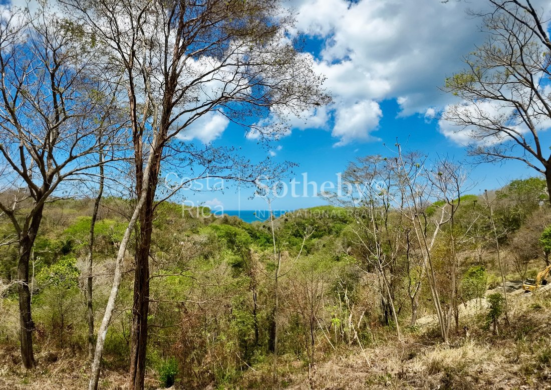 Land in Santiago, Puntarenas Province, Costa Rica 5 - 17802904