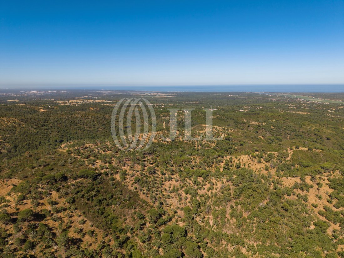 Land in Melides, Setubal, Portugal 4 - 18393121