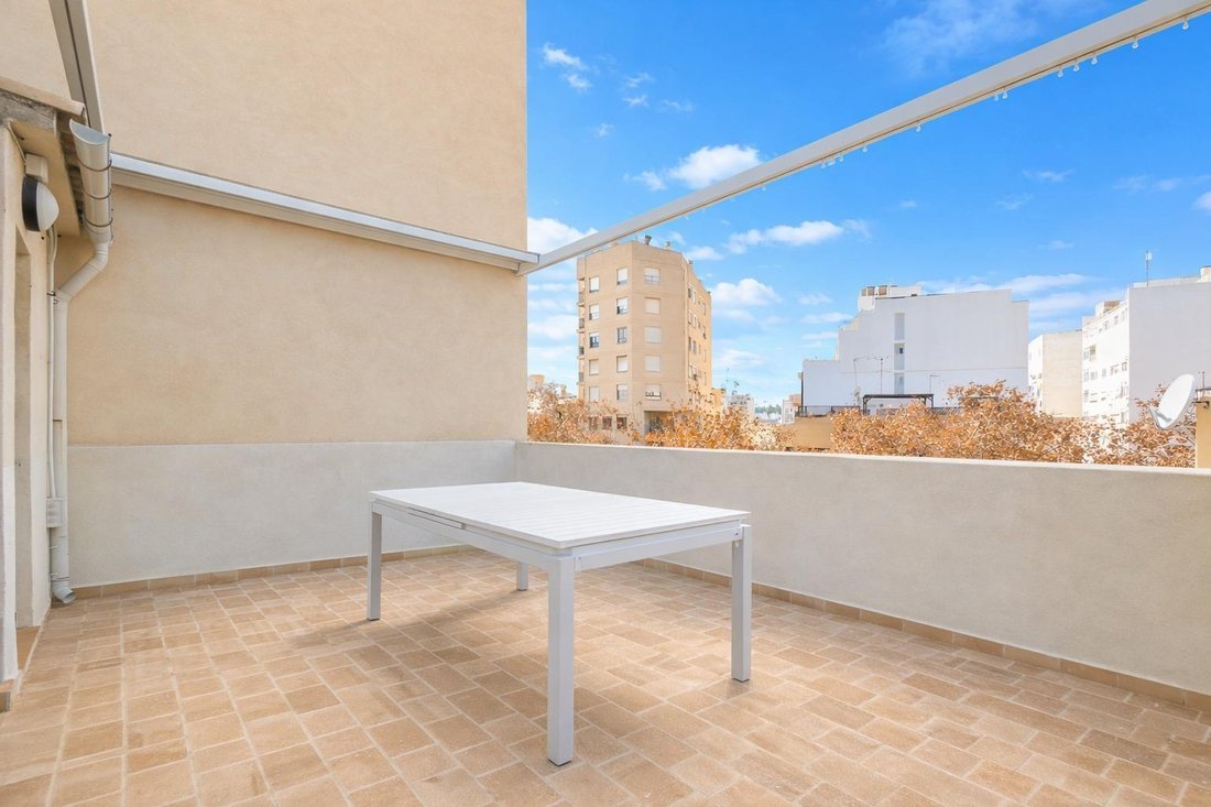 Apartment in Palma, Balearic Islands, Spain 3 - 18394960