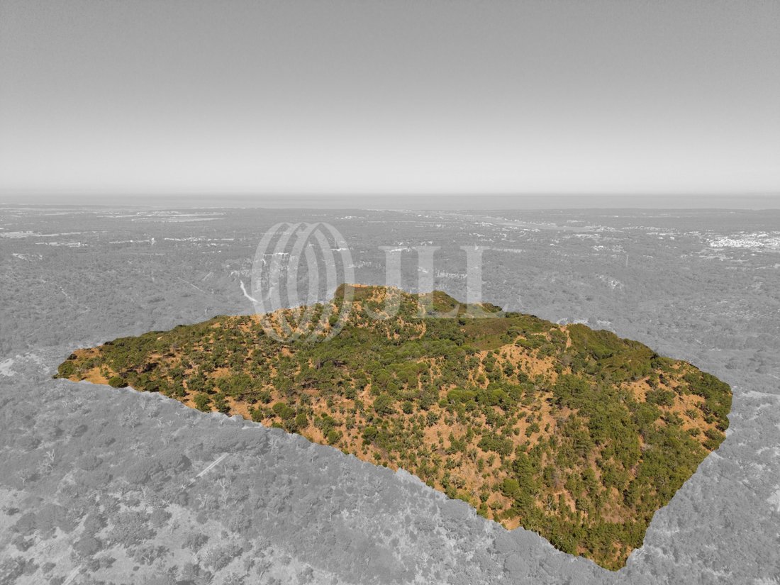 Land in Melides, Setubal, Portugal 3 - 18393121