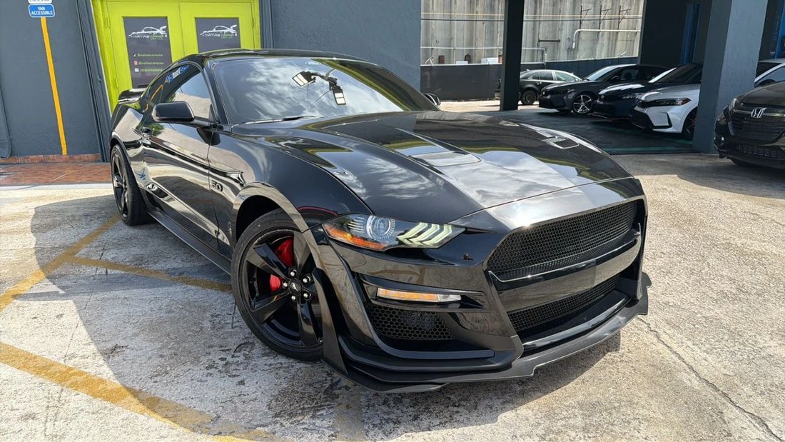 Coupe in Hollywood, FL, United States 1 - 18397305