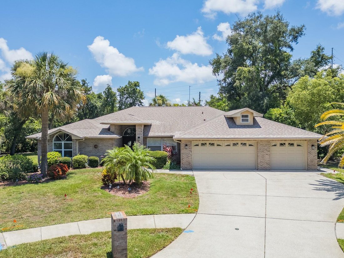 House in Palm Harbor, Florida, United States 2 - 18394922
