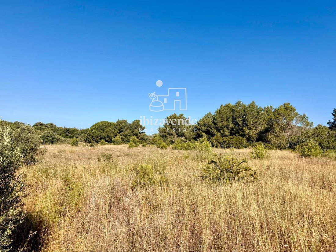 Finca in Santa Gertrudis de Fruitera, Santa Eularia des Riu, Balearic Islands 4 - 18390558