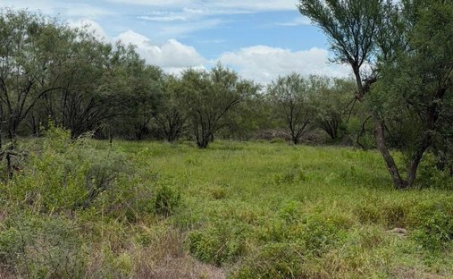 Terreno a Cadereyta Jiménez, Nuevo León, Messico 1