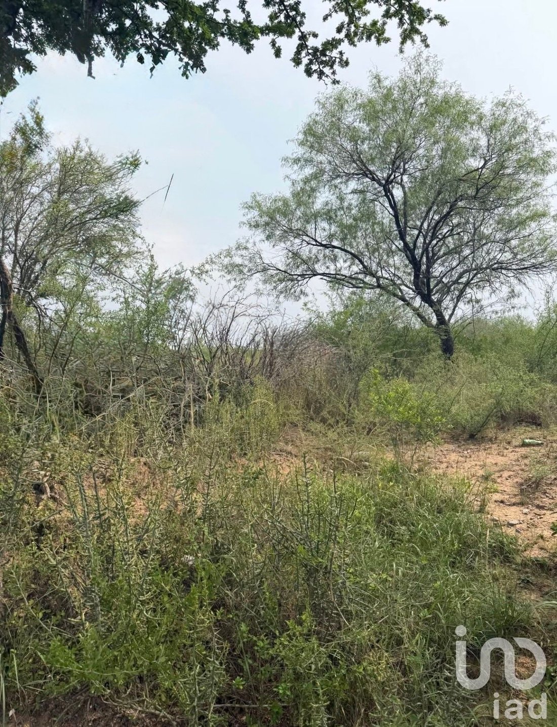 Land in Cadereyta Jiménez, Nuevo Leon, Mexico 4 - 18392084