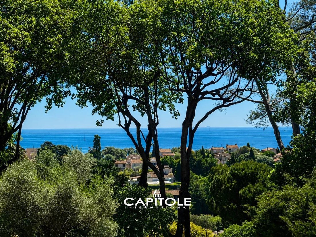 Villa in La Constance-Le Puy, Antibes, France 1 - 18396403