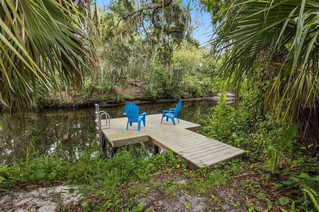 House in Riverview, Florida, United States 2 - 18395681