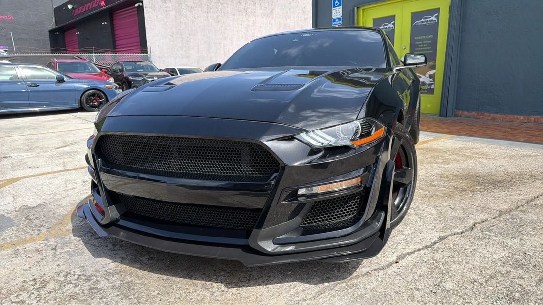Coupe in Hollywood, FL, United States 3 - 18397305