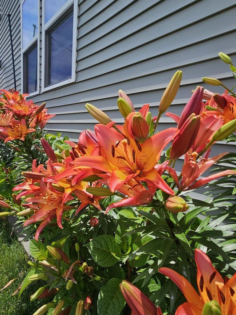House in Sun Prairie, Wisconsin, United States 5 - 18394265