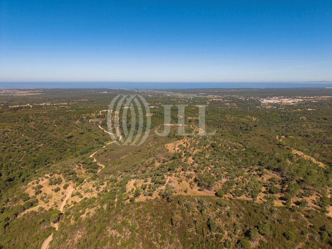 Land in Melides, Setubal, Portugal 1 - 18393121