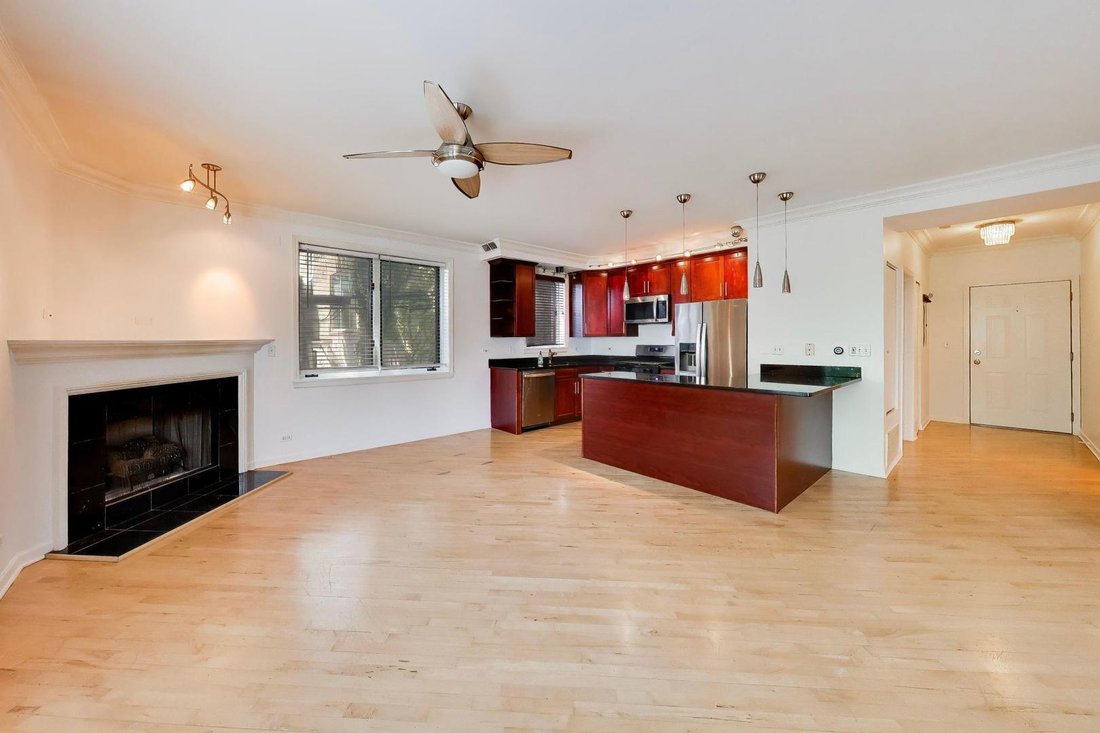 Condo in Chicago, Illinois, United States 4 - 18391631