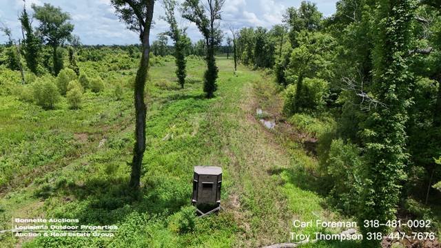 Land in Simmesport, Louisiana, United States 3 - 18390780