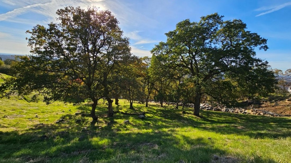 Land in El Dorado Hills, California, United States 1 - 18186939