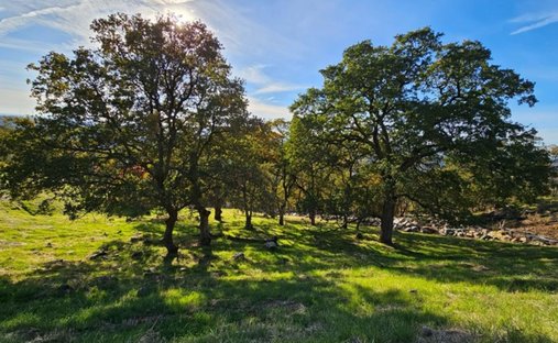 Terrain à El Dorado Hills, Californie, États-Unis 1
