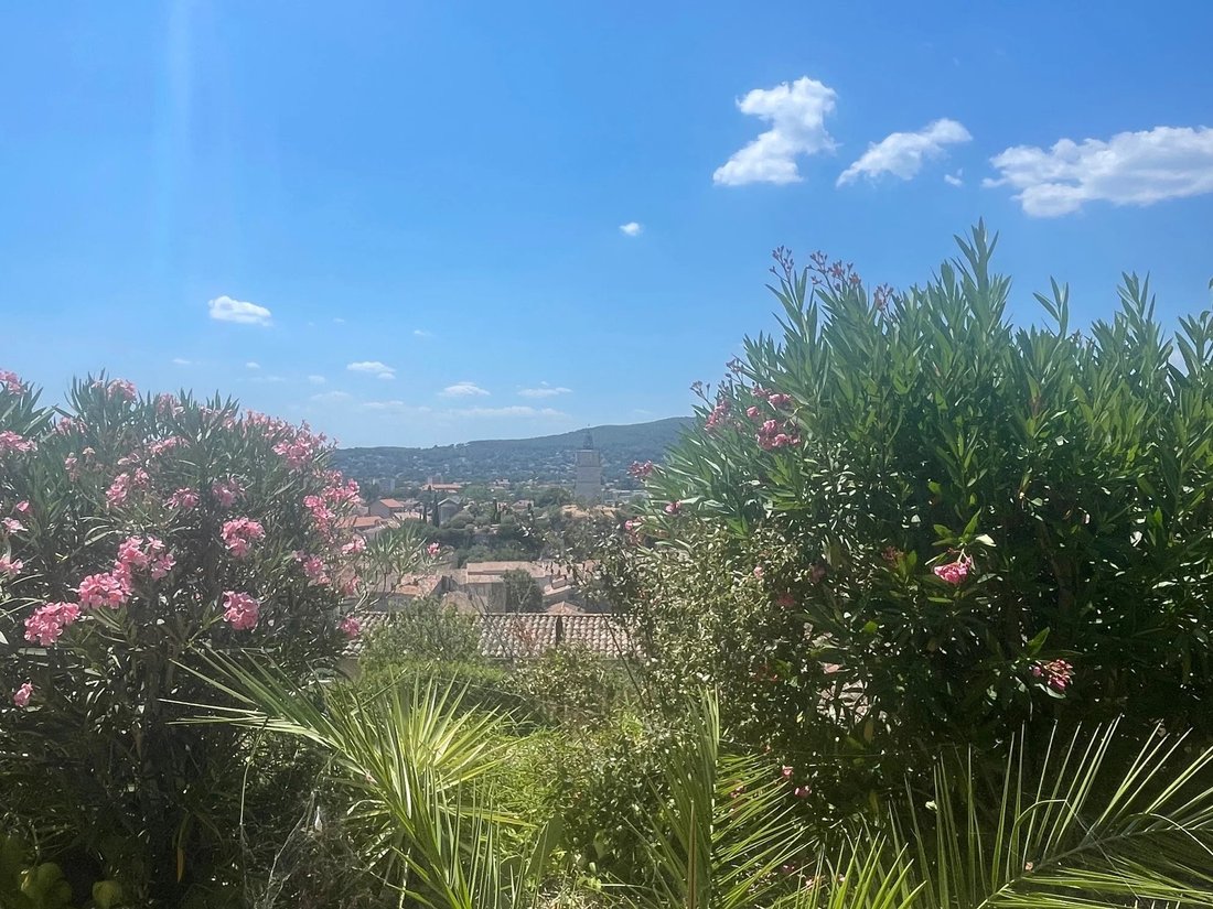 Villa in Vaugines-Les Faisses-Peyrard, Draguignan, France 1 - 18393291
