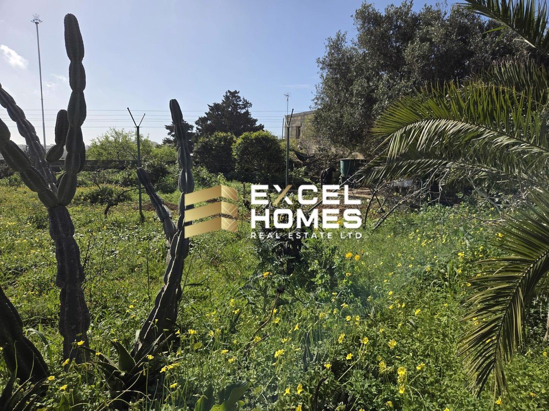 Bungalow in Buskett Woodlands, Malta 1 - 17264386
