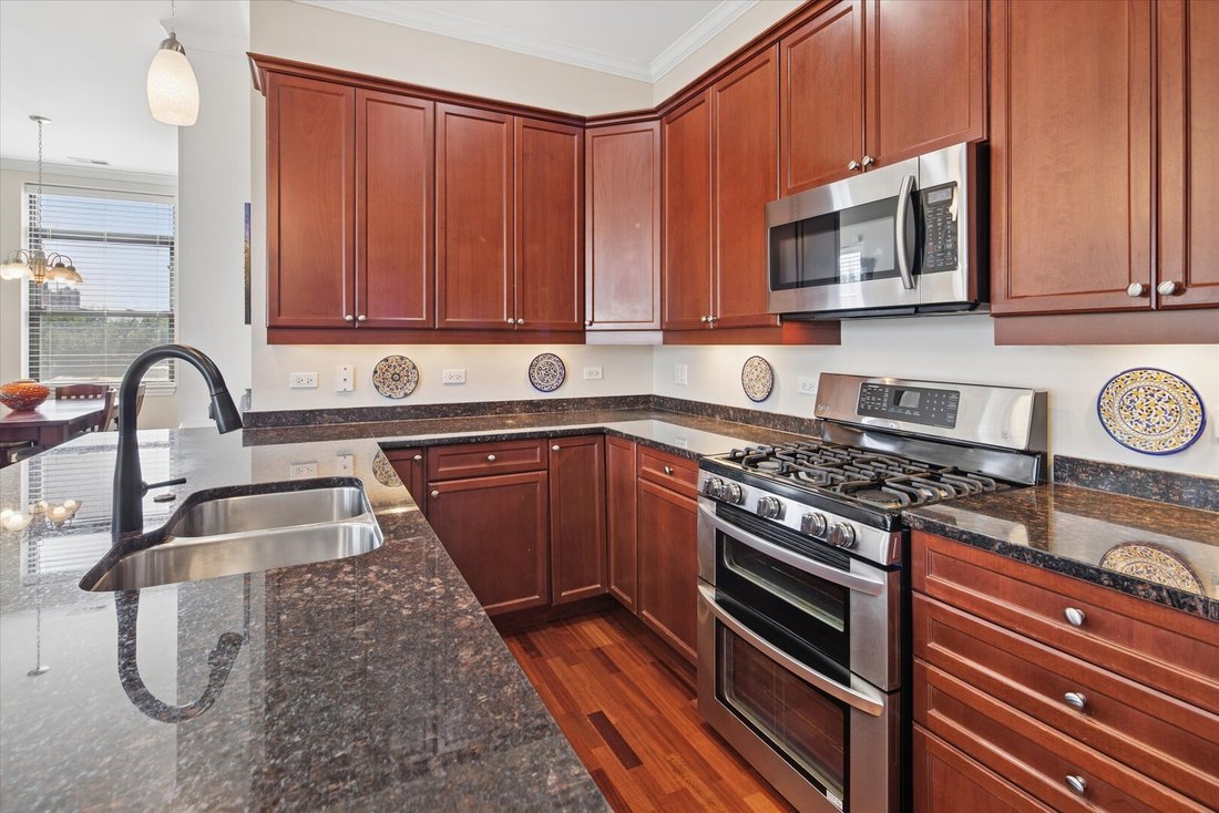 Condo in Chicago, Illinois, United States 5 - 18394627