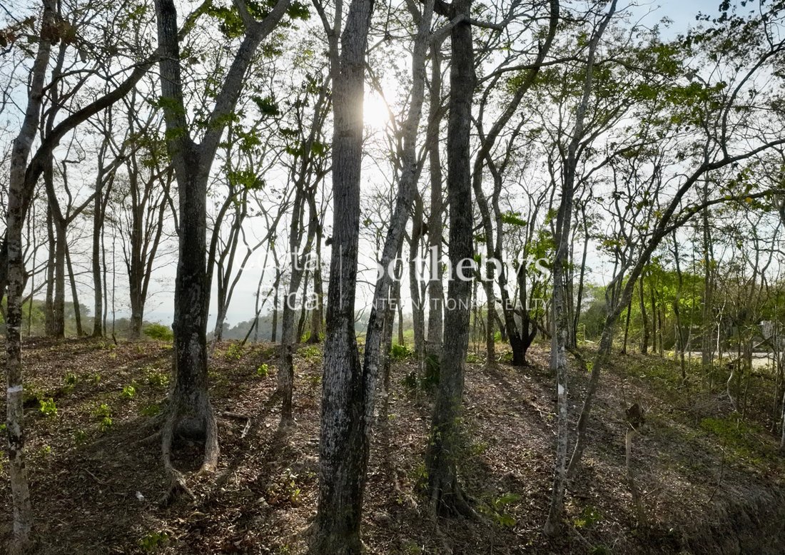 Land in Santiago, Puntarenas Province, Costa Rica 3 - 17802934