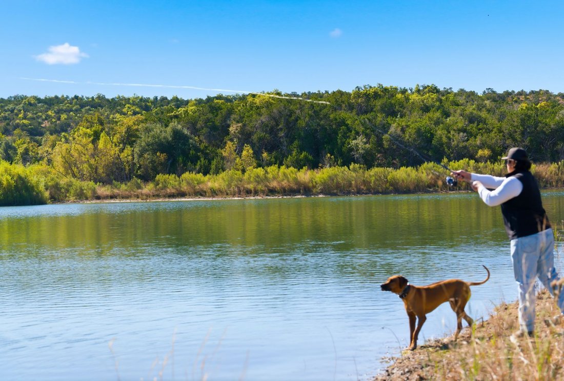 Farm Ranch in Dripping Springs, Texas, United States 2 - 18395607