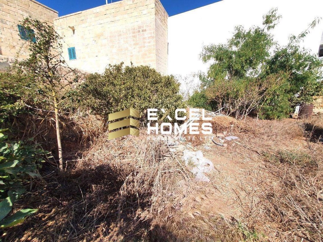 House in Qrendi, Malta 5 - 16788757