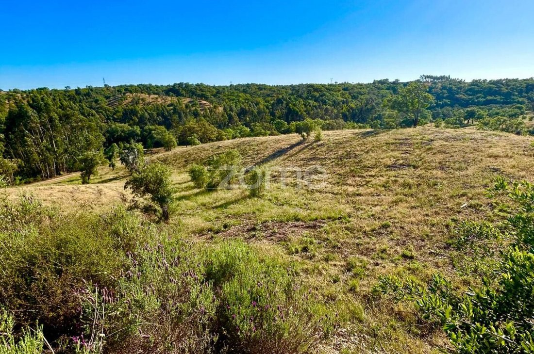 Land in Santiago do Cacem, Santa Cruz e Sao Bartolomeu da Serra, Setubal, Portugal 2 - 18396977