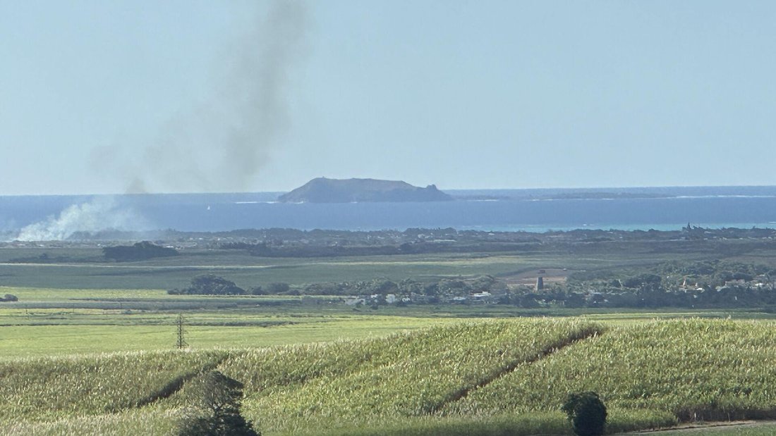 Land in Pamplemousses, Pamplemousses District, Mauritius 3 - 18391649