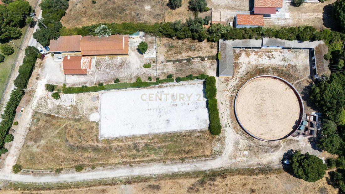 Farm Ranch in Santo Estevao, Santarem District, Portugal 1 - 18396171