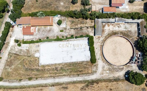 Farm Ranch in Santo Estevao, Santarem District, Portugal 1