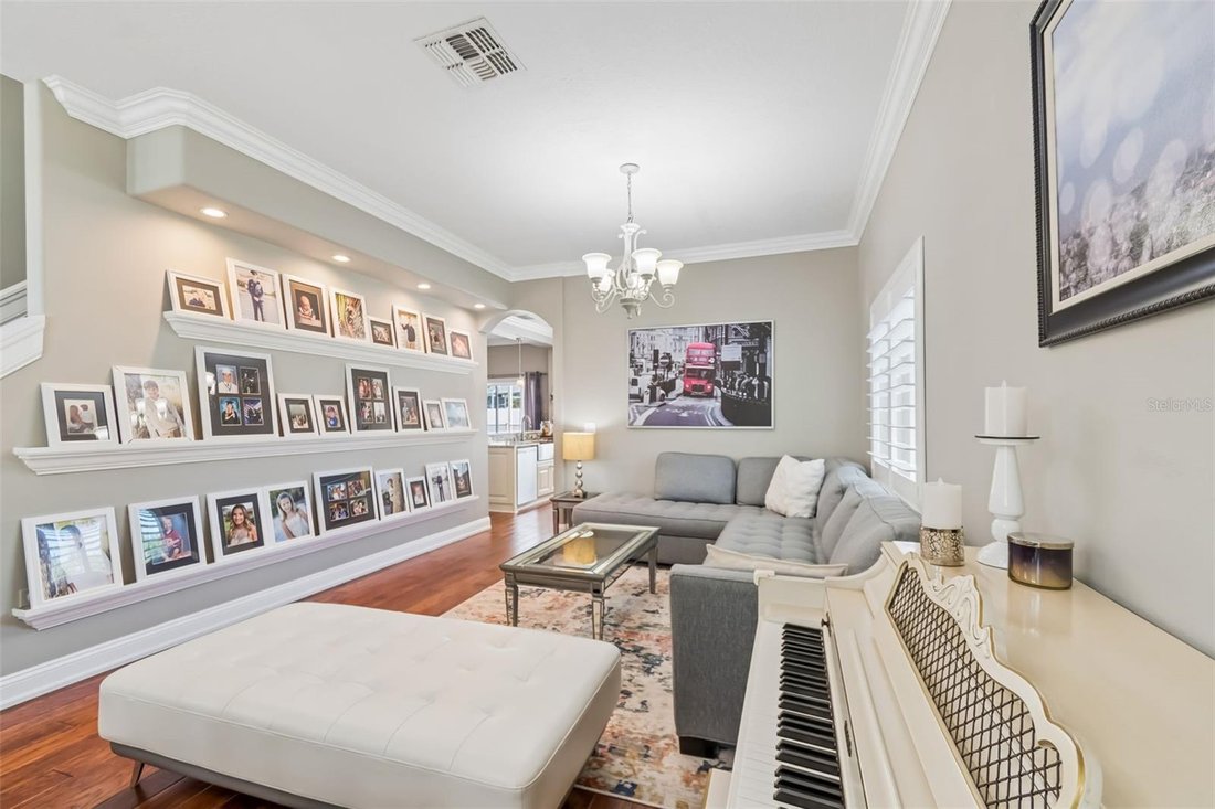 House in Odessa, Florida, United States 5 - 18395037