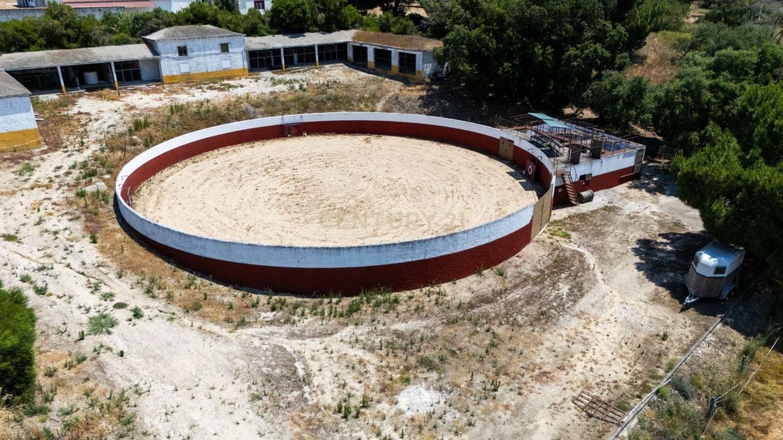 Farm Ranch in Santo Estevao, Santarem District, Portugal 5 - 18396171