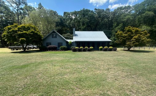 House in Sylvania, Georgia, United States 1